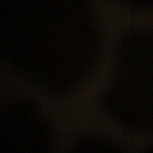 Meet your Posher, Brittny